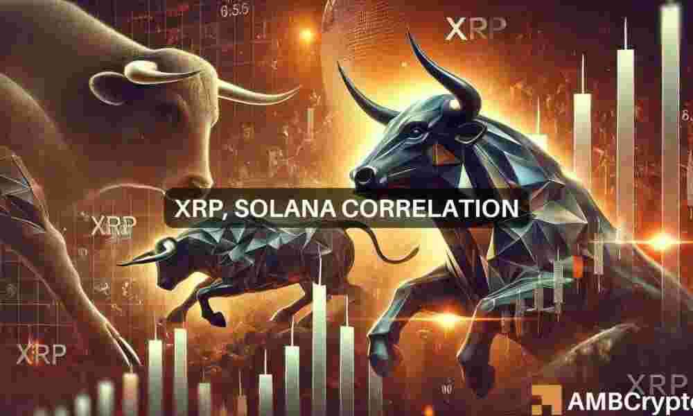 Exploring Solana's Influence on XRP's Recent Price Surge