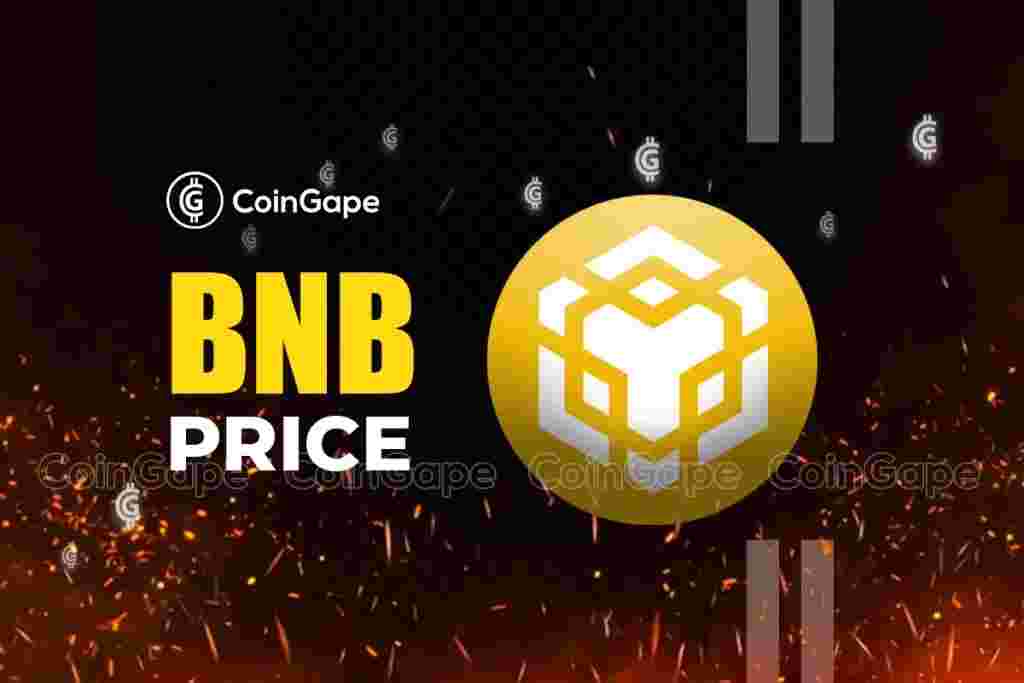 Opportunity to Invest in Binance Coin During Price Drop