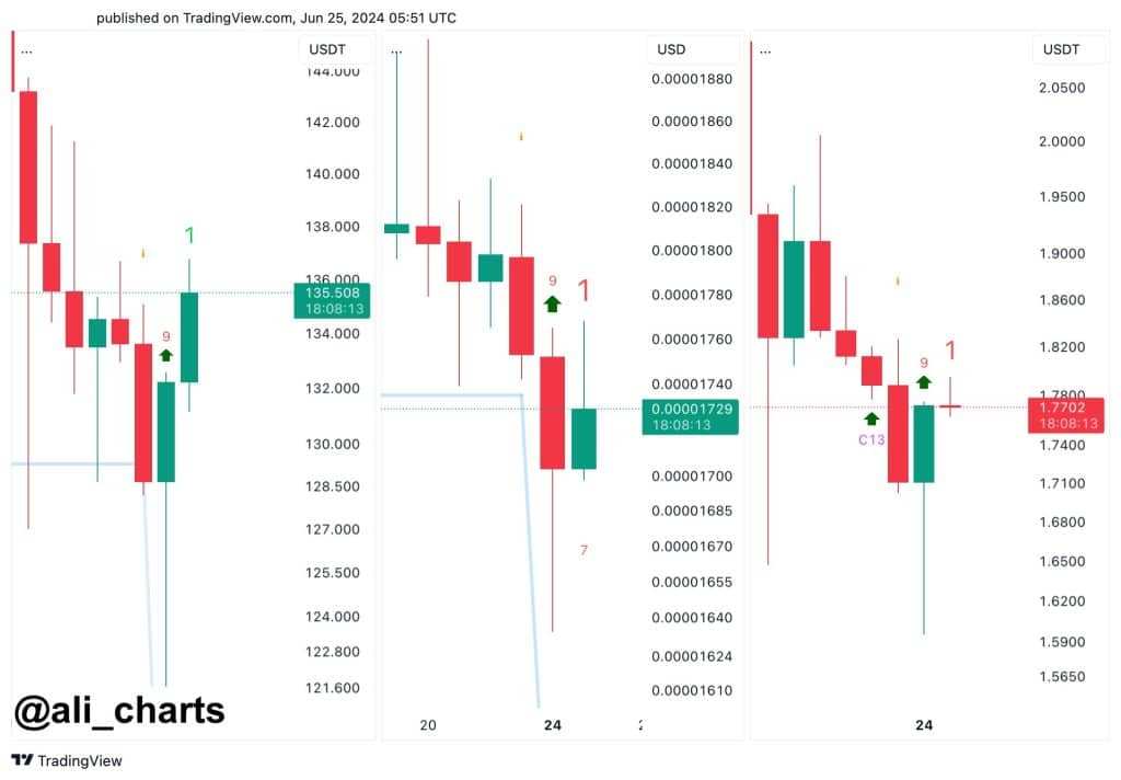 Analyst: Shiba Inu, Solana, and Cardano Show Buy Signals