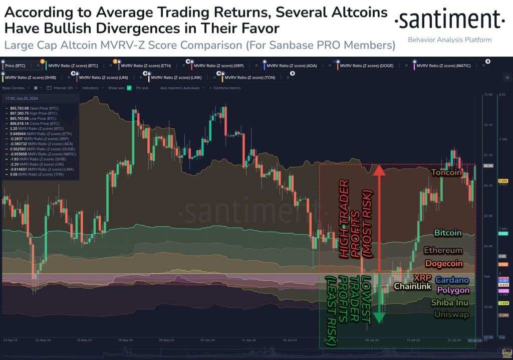 Shiba Inu & XRP Show Bull Rally Signs, Analytics Say