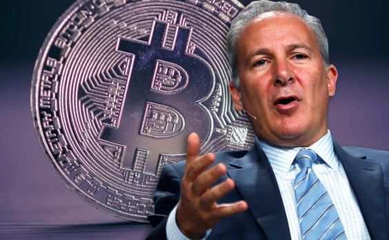 Peter Schiff Criticizes RFK Jr.'s Bitcoin Strategy as Election Bribery Method