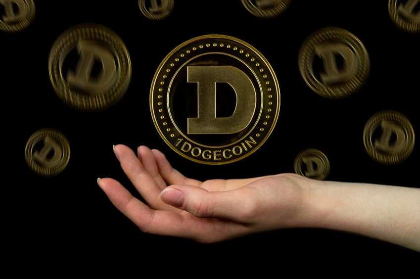 Most Dogecoin Holders Gain Despite Market Fluctuations