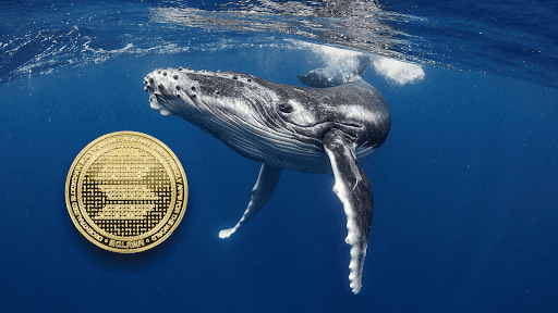 Discover Why SOL Whales Are Rushing to RCO Finance's Record-Breaking Presale!