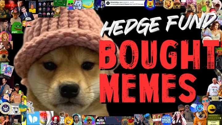 Why This Hedge Fund Invests in Meme Coins - The Surprising Strategy Revealed