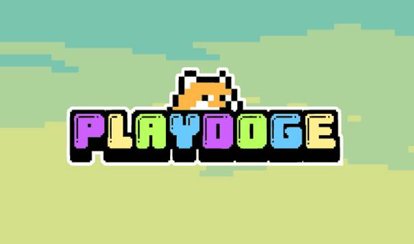 PlayDoge: The Next Big Thing in P2E and Meme Coins!