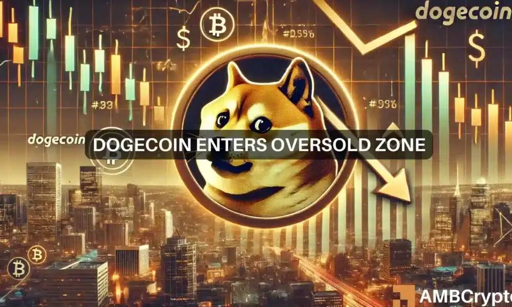 Elon Musk Declares Support for Dogecoin Amid 15% Price Decline