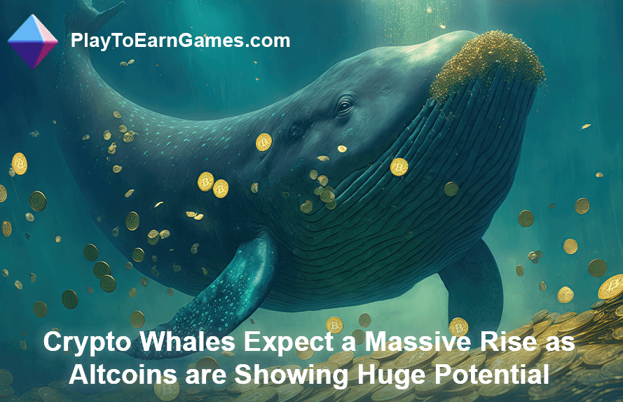 Baleias criptográficas esperam aumento em altcoins
