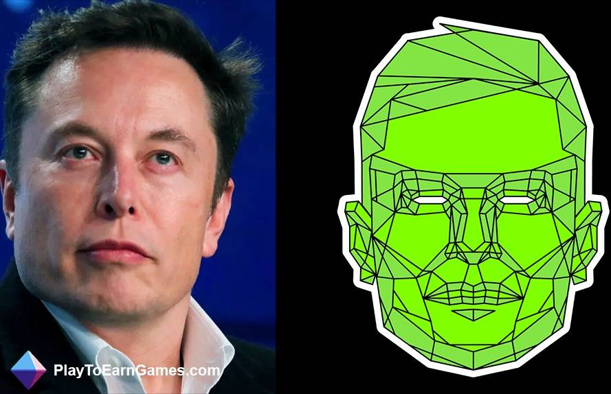 A conta entediada de Elon no Twitter planeja se aventurar no espaço Web3