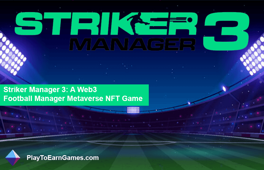 Striker Manager 3 - Visão geral do jogo